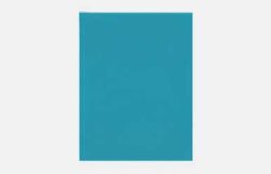 Industrial Outdoor Wall Mount IP Telephone Amplifier (SUS)