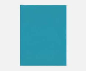 Industrial Outdoor Wall Mount IP Telephone Amplifier (SUS)