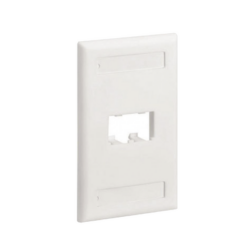 Placa de Pared Vertical Clásica, Salida Para 2 Puertos Mini-Com, Con Espacios Para Etiquetas, Color Blanco