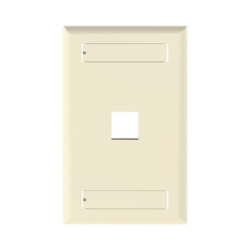 Placa de Pared Vertical, Salida Para 1 Puerto Keystone, Con Espacios Para Etiquetas, Color Marfil